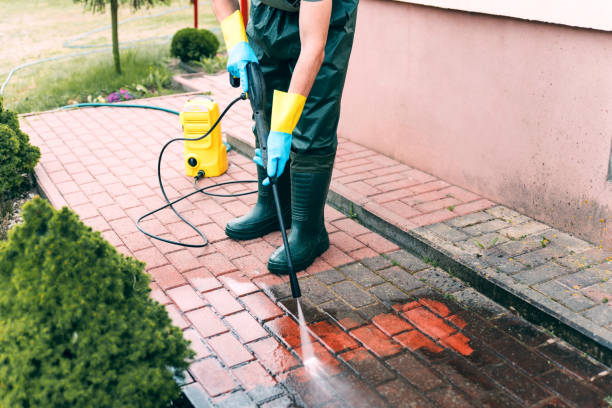 Best Animal Enclosure Cleaning  in Bass Lake, IN